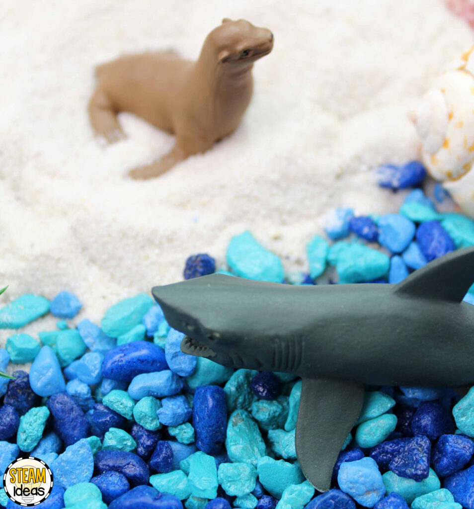 Ocean Animals Activity for Kids